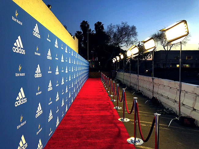 Step & Repeat Red Carpet